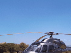 AS 355